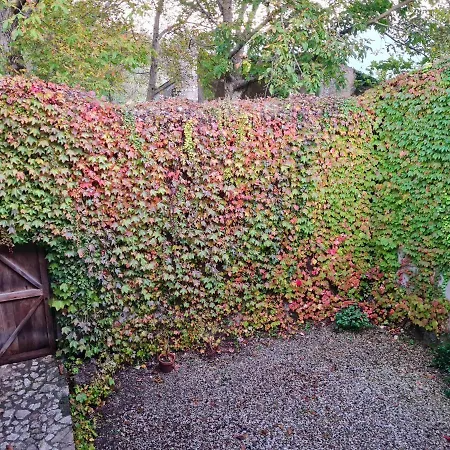 Apartment Simonacastello - Nel Borgo Forino