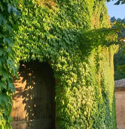 Simonacastello - Nel Borgo *