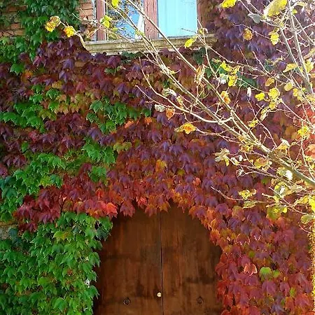 Apartment Simonacastello - Nel Borgo